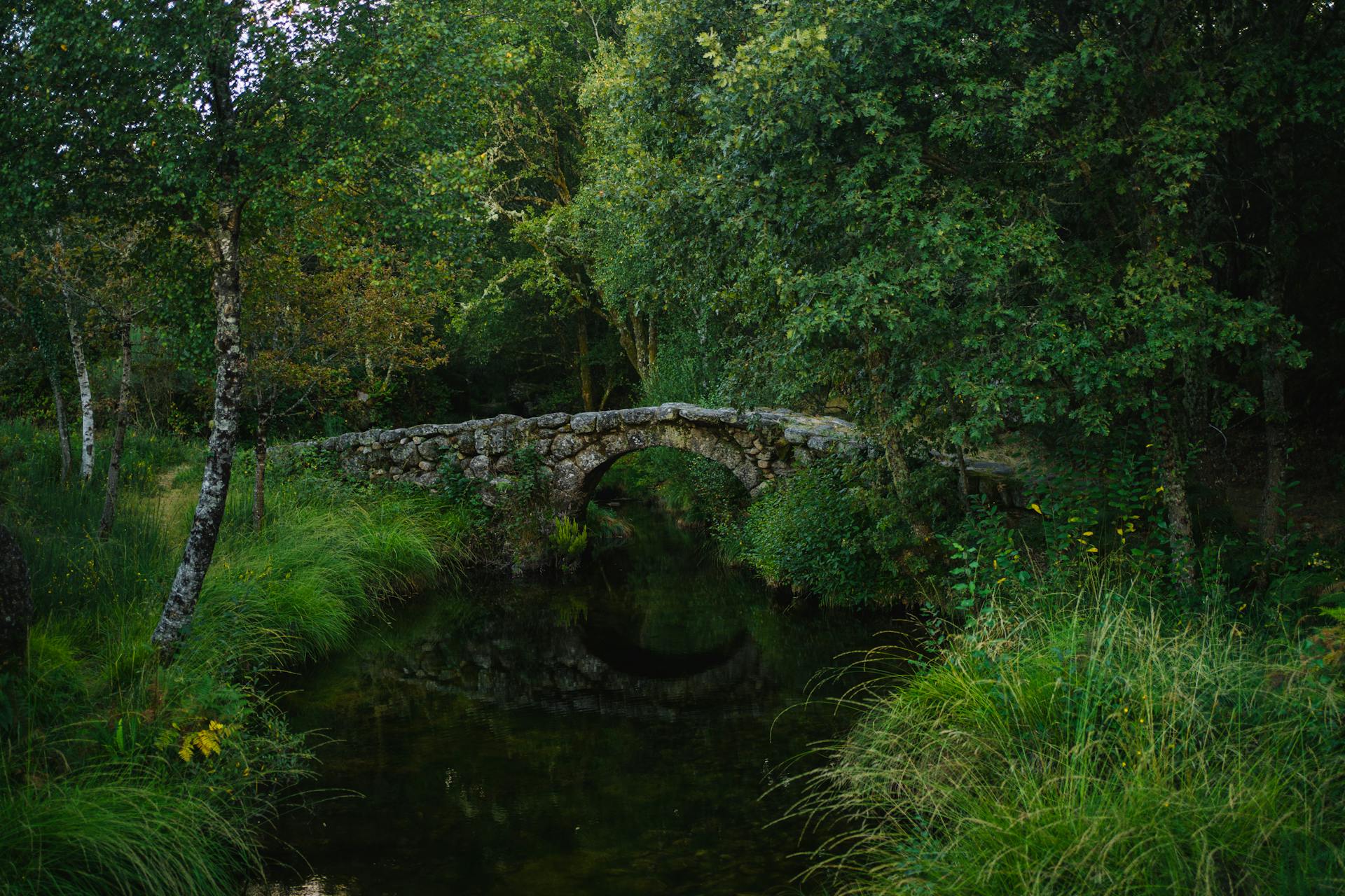 Idyllic stone bridge surrounded by lush greenery in Castro Laboreiro, Portugal.