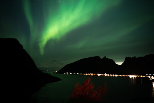 Kostnadsfri bild av aurora, grönt ljus, polarljus