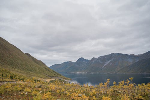 Kostnadsfri bild av berg, bergen, bergskedja