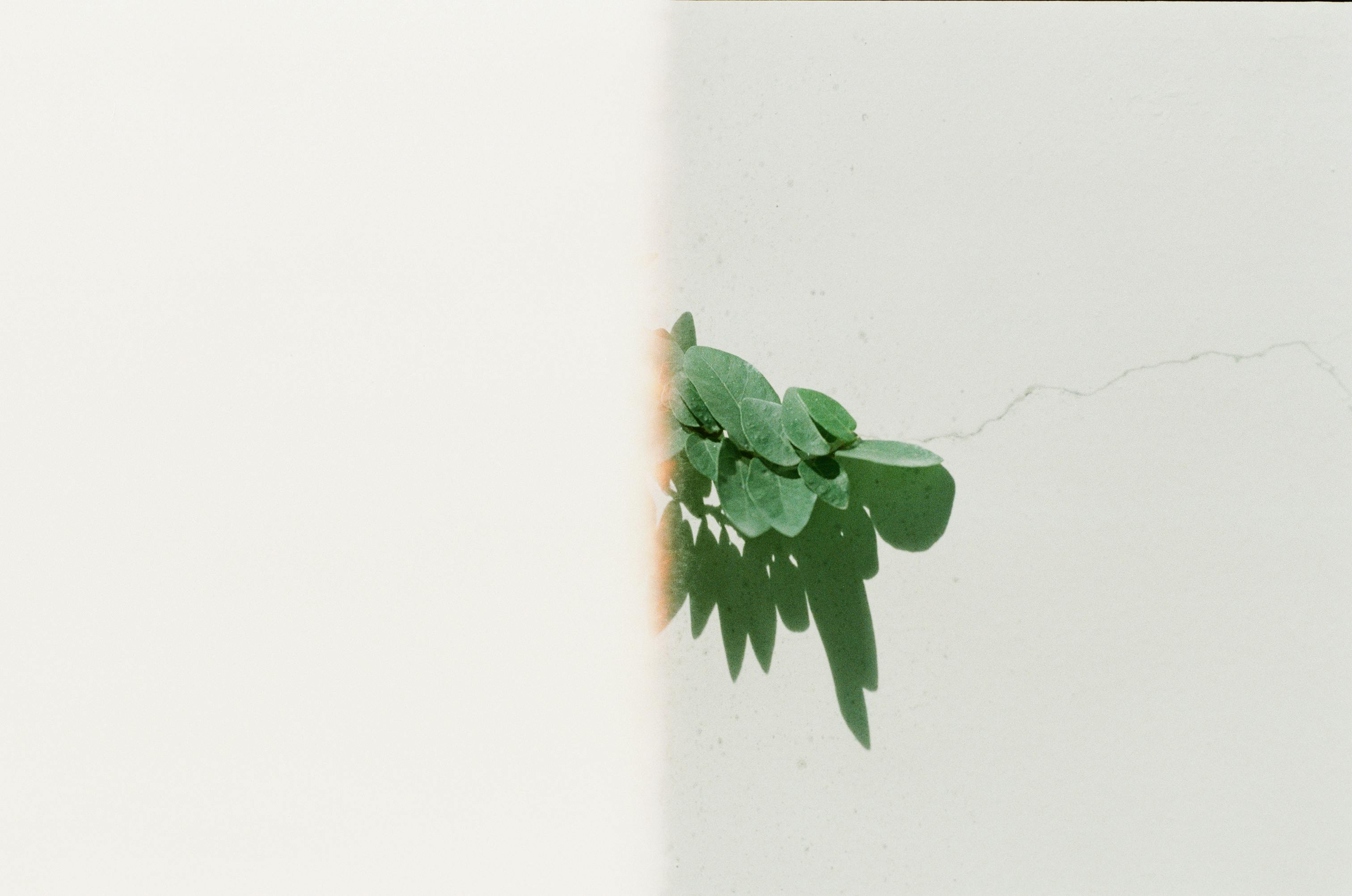 Gratis Immagine gratuita di amante della natura, arioso, arte astratta Foto a disposizione