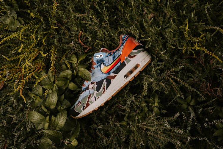 Concepts X Air Max 1 Mellow Shoe On The Grass