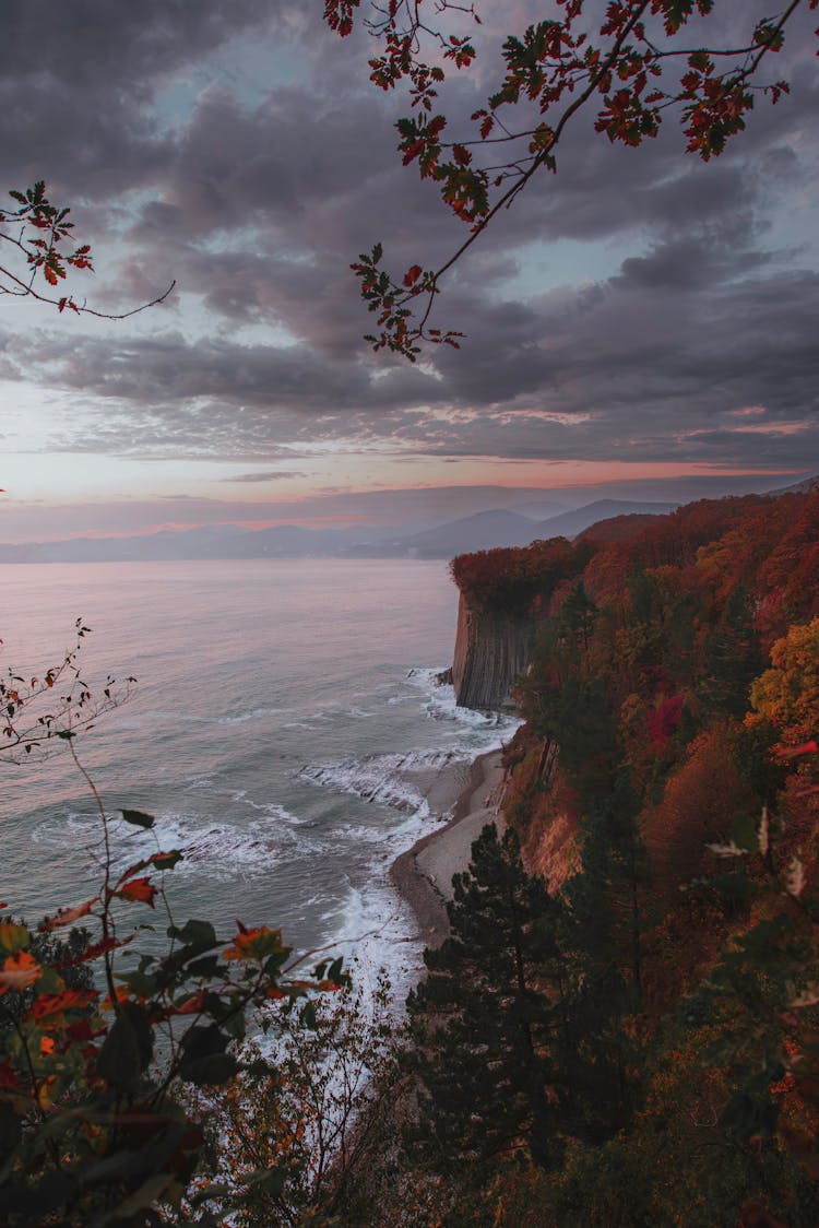 Cliff At Dawn In Autumn