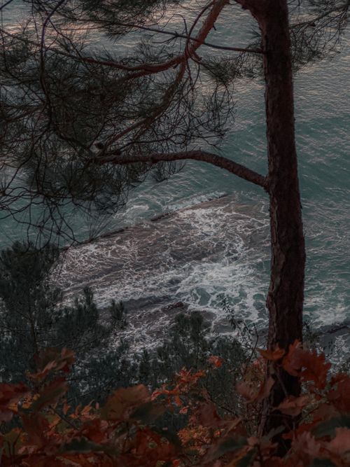 Free A picturesque coastal scene with autumn foliage framing waves crashing on rocks. Stock Photo