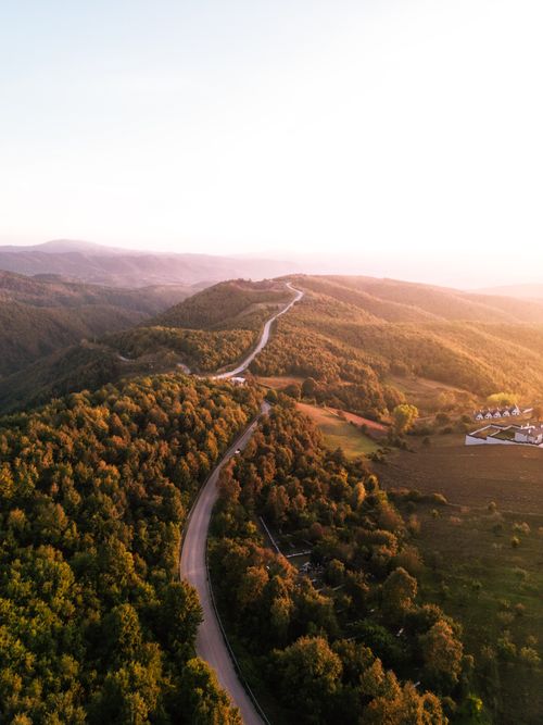 Free Aerial view of a winding road through lush, forested hills at sunrise, capturing the tranquility of nature. Stock Photo
