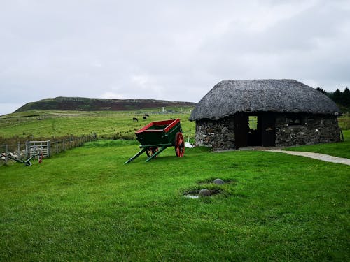 Black house and Cart