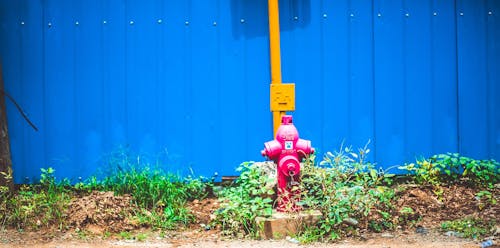 Pink Steel Water Pump Behind Blue Fence