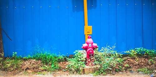 Bomba De Agua De Acero Rosa Detrás De La Valla Azul