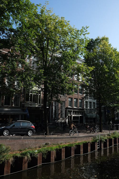 Trees and Tenements by River in Town