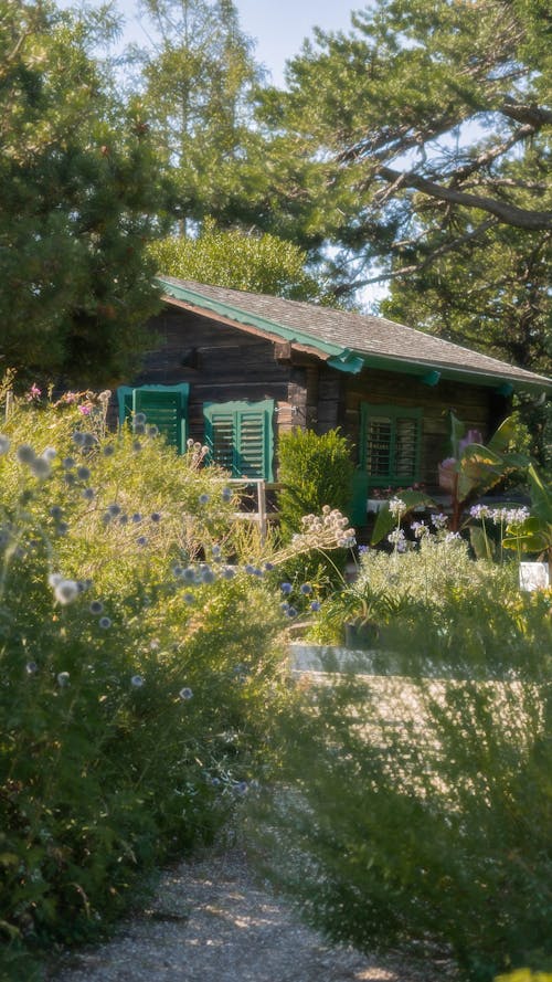 Country Wooden House with Garden