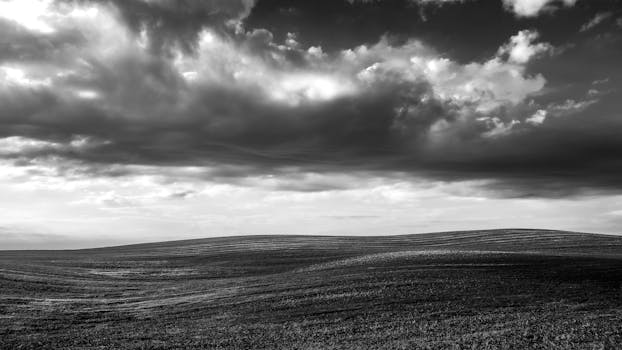 Immagine gratuita di astratto, bianco, bianco e nero