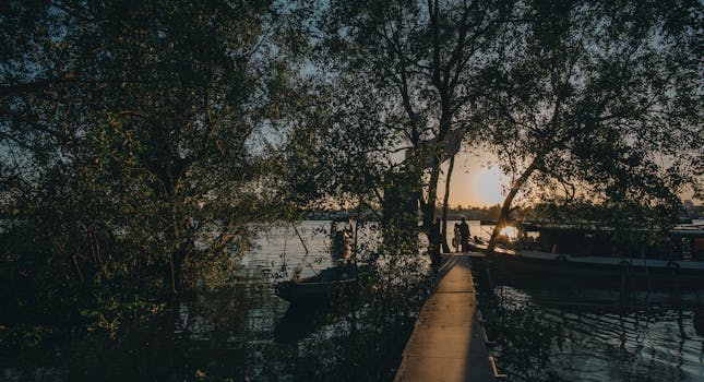 日落时分，独木舟停靠在宁静的湖畔，树木的轮廓更添静谧