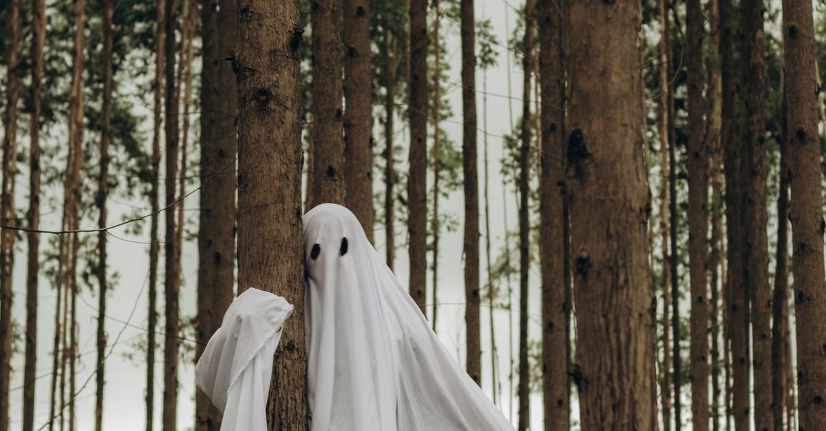 Ghost Inatural Ghost in Forest · Free Stock Photo