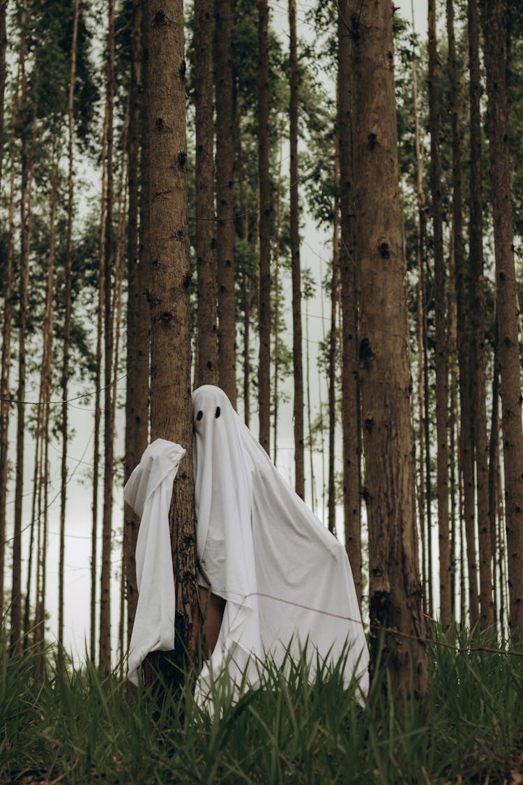 Ghost In Forest