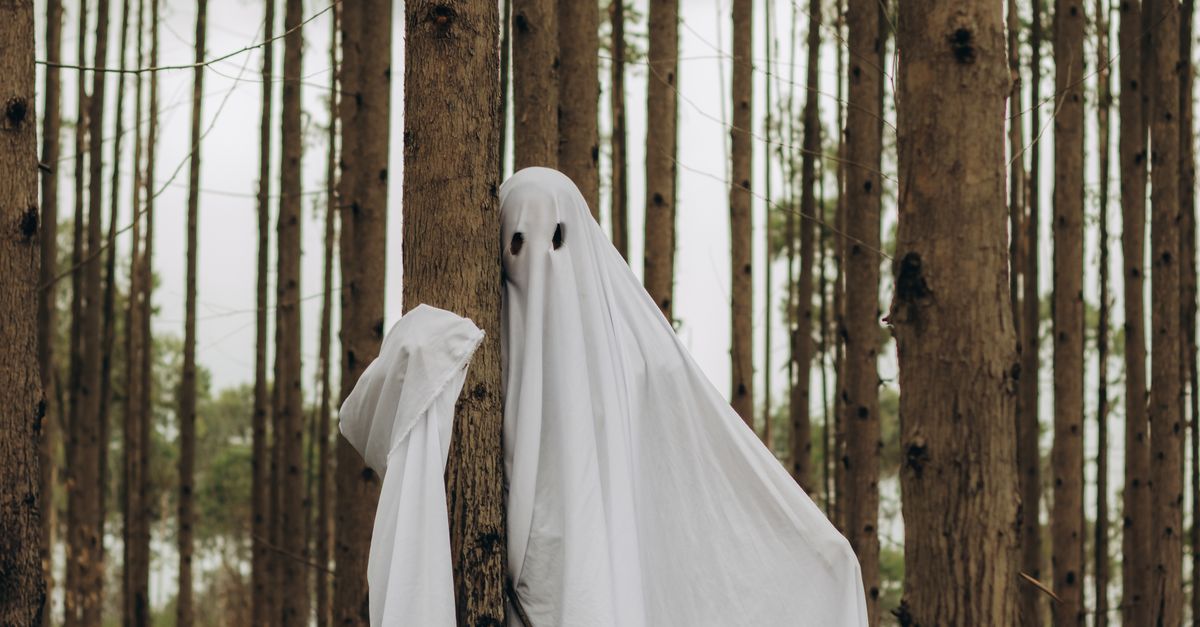 Ghost among Trees in Forest · Free Stock Photo