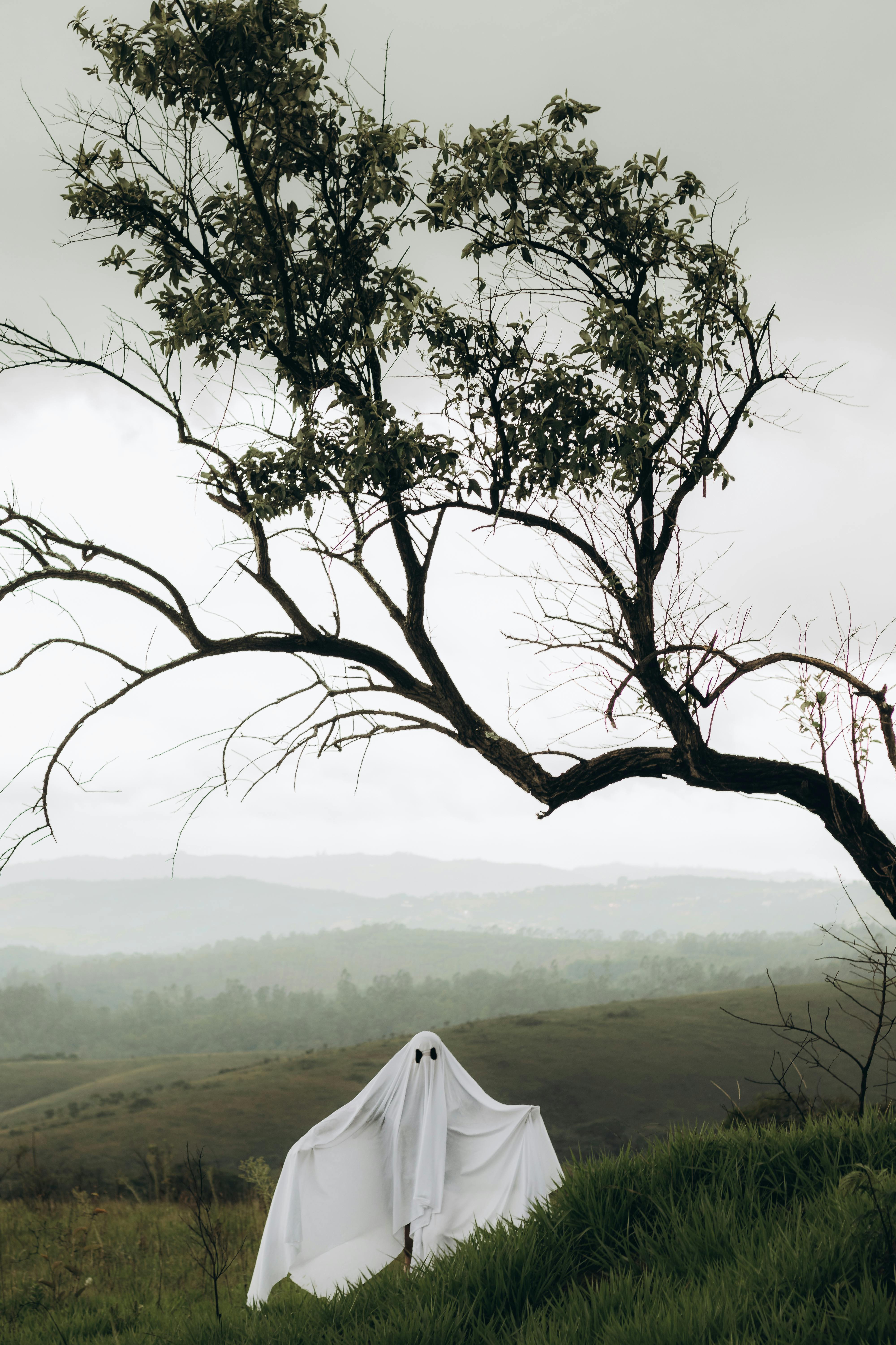 ghost under tree in countryside