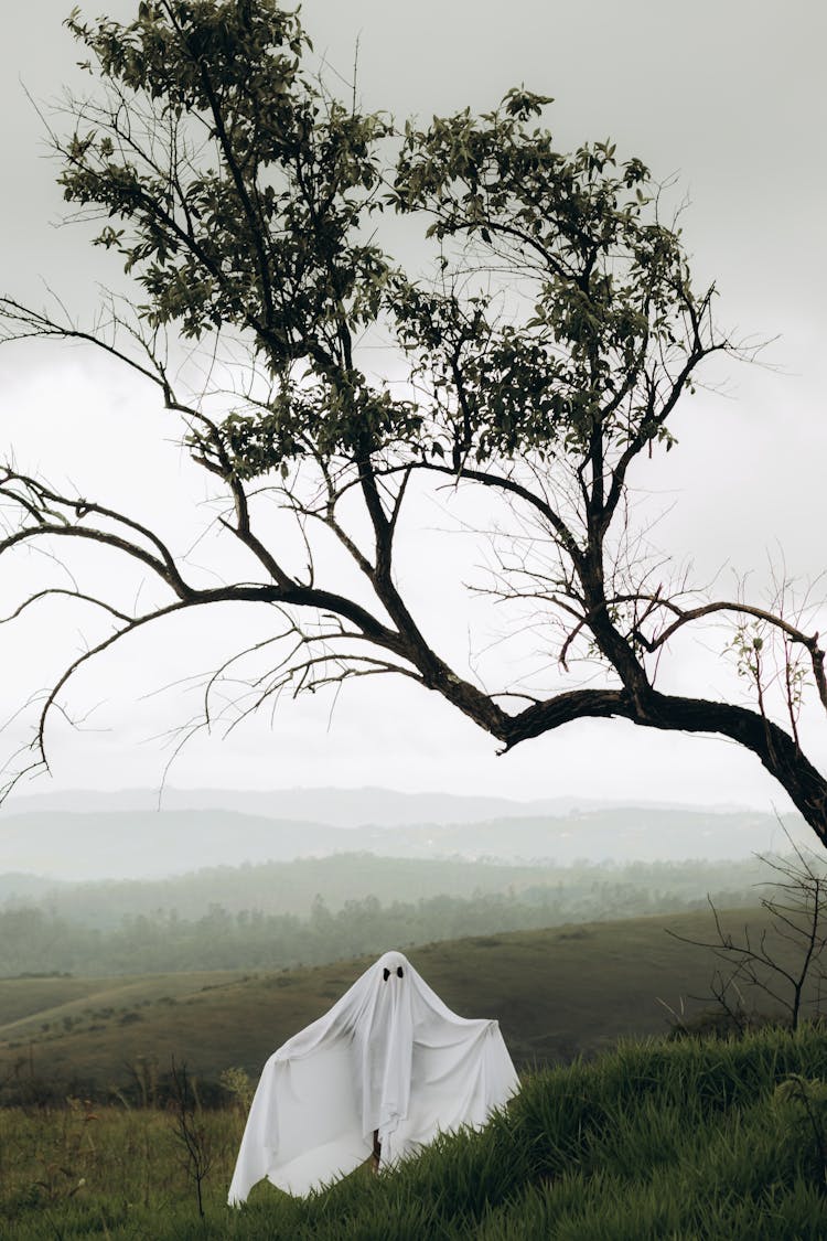 Ghost Under Tree In Countryside