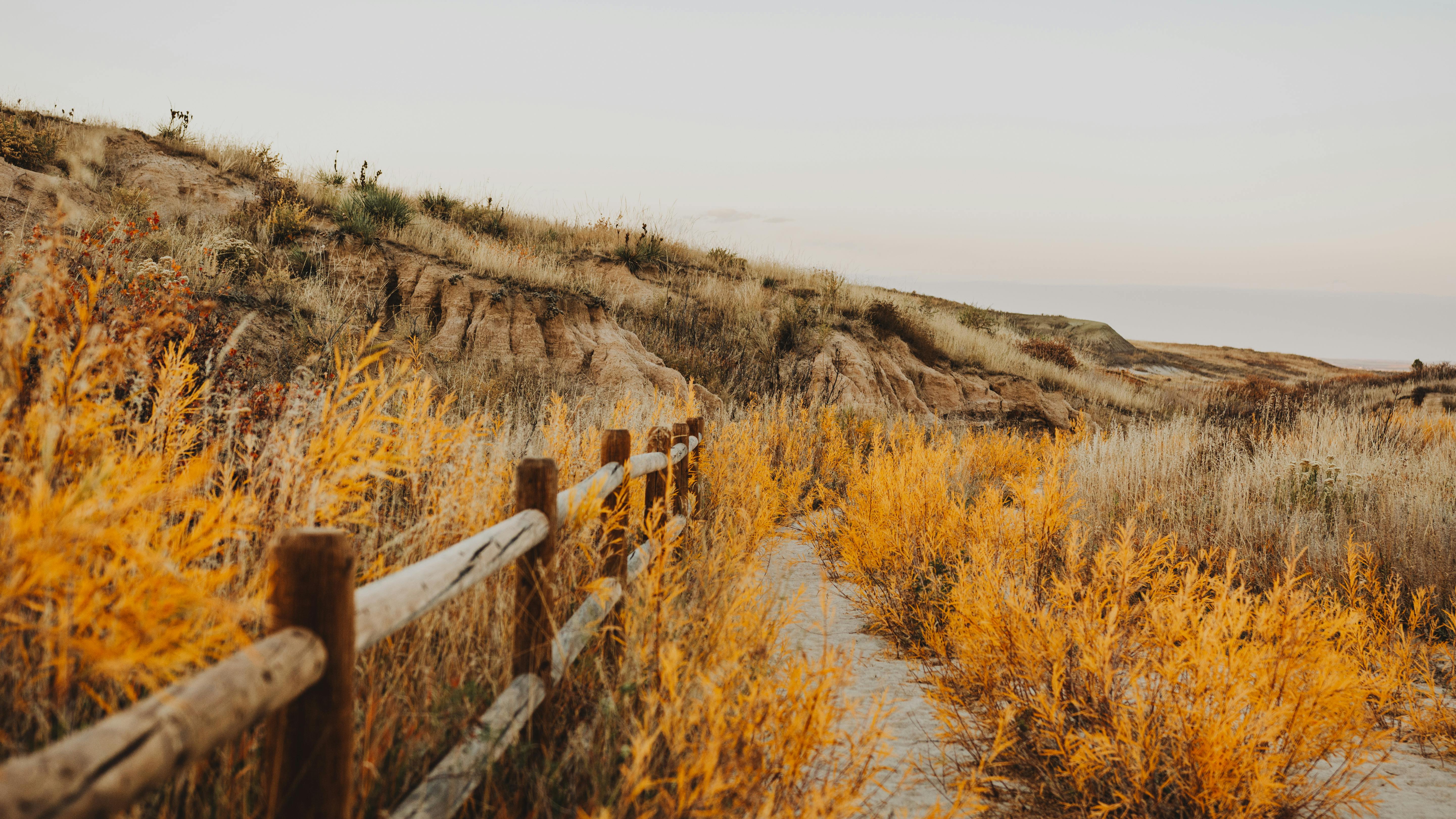 Serene rural landscape in Colorado Springs with golden grass and wooden fence.