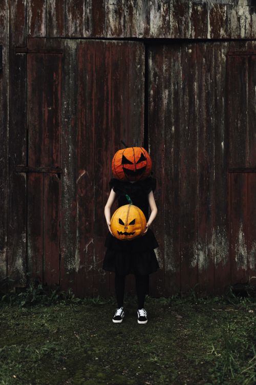 Free Person in Halloween attire holding carved pumpkins in front of a rustic wooden shed Stock Photo