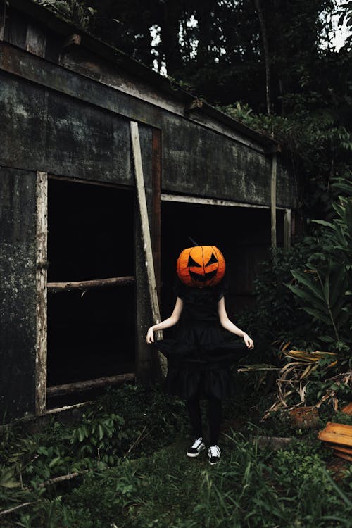 Woman Wearing a Carved Pumpkin on Her Head