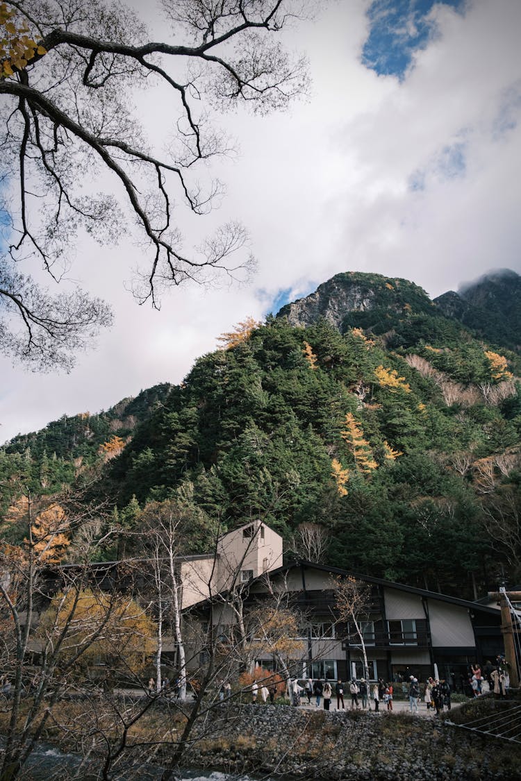 Forest On Hill Over Village