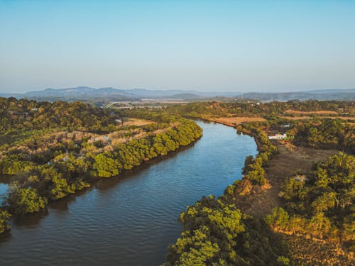 Imagine de stoc gratuită din apă curgătoare, arbori, campii