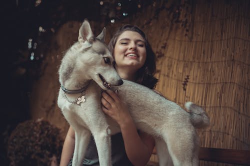 Ảnh lưu trữ miễn phí về chó, cho husky Si-bê-ri-a, đàn bà