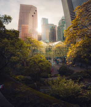 Vibrant view of Vancouver's skyscrapers and lush trees in a sunlit city park.