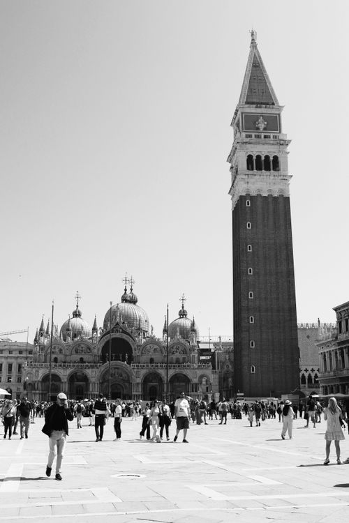 Free Black and white photo of San Marco Piazza, capturing St. Mark's Basilica and Bell Tower in Venice, Italy. Stock Photo
