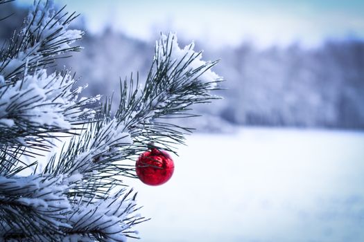 A red ornament hangs from a snow-covered pine branch in a serene winter landscape.
