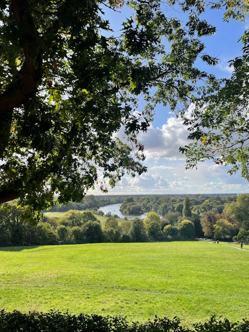 Kostnadsfri bild av landsbygden, richmond parken, Storbritannien