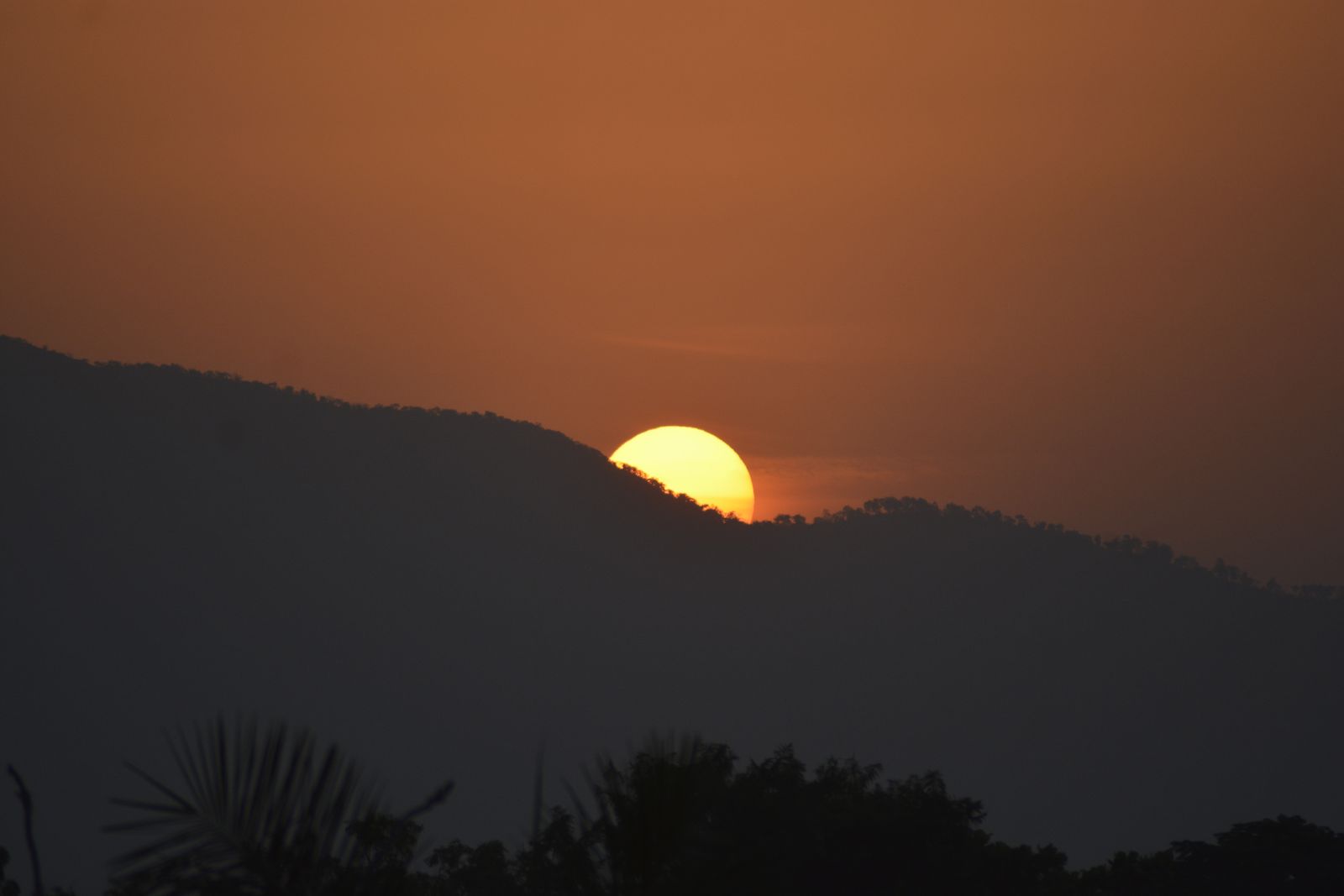 Coucher de soleil sur l'horizon avec ciel orangé et bleu profond