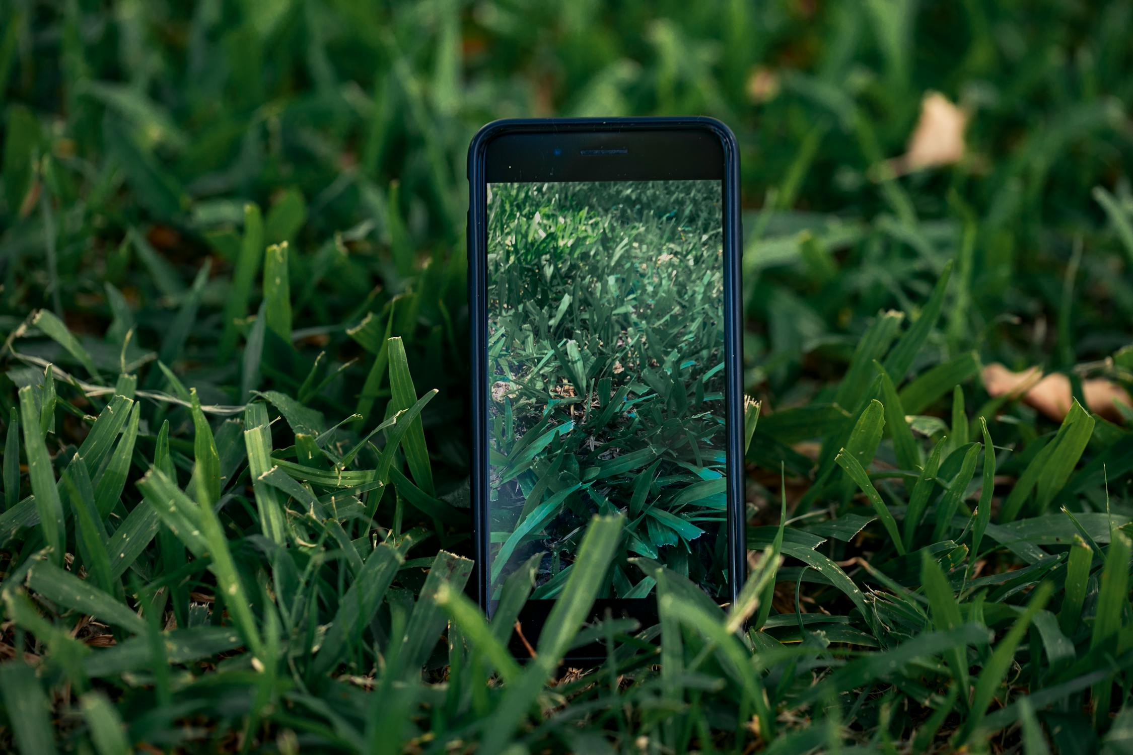 Free stock photo of green, iphone