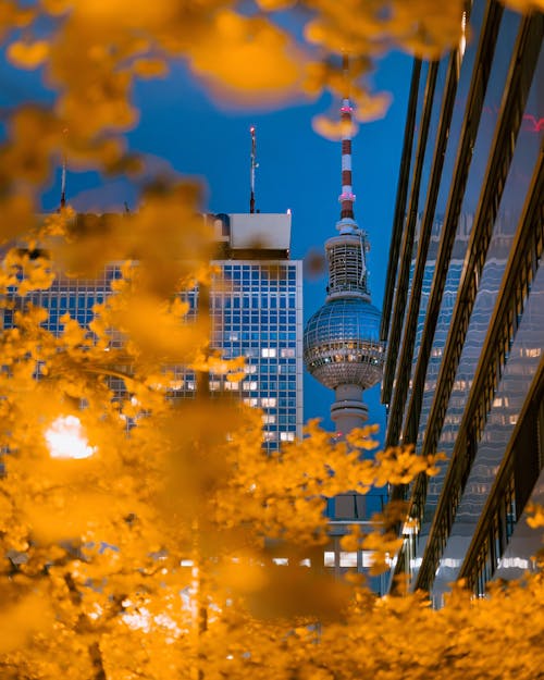 Berlin TV Tower and Modern Buildings Seen through Golden Autumn Leaves