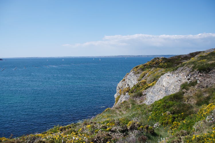 Rocky Cliff By The Sea 