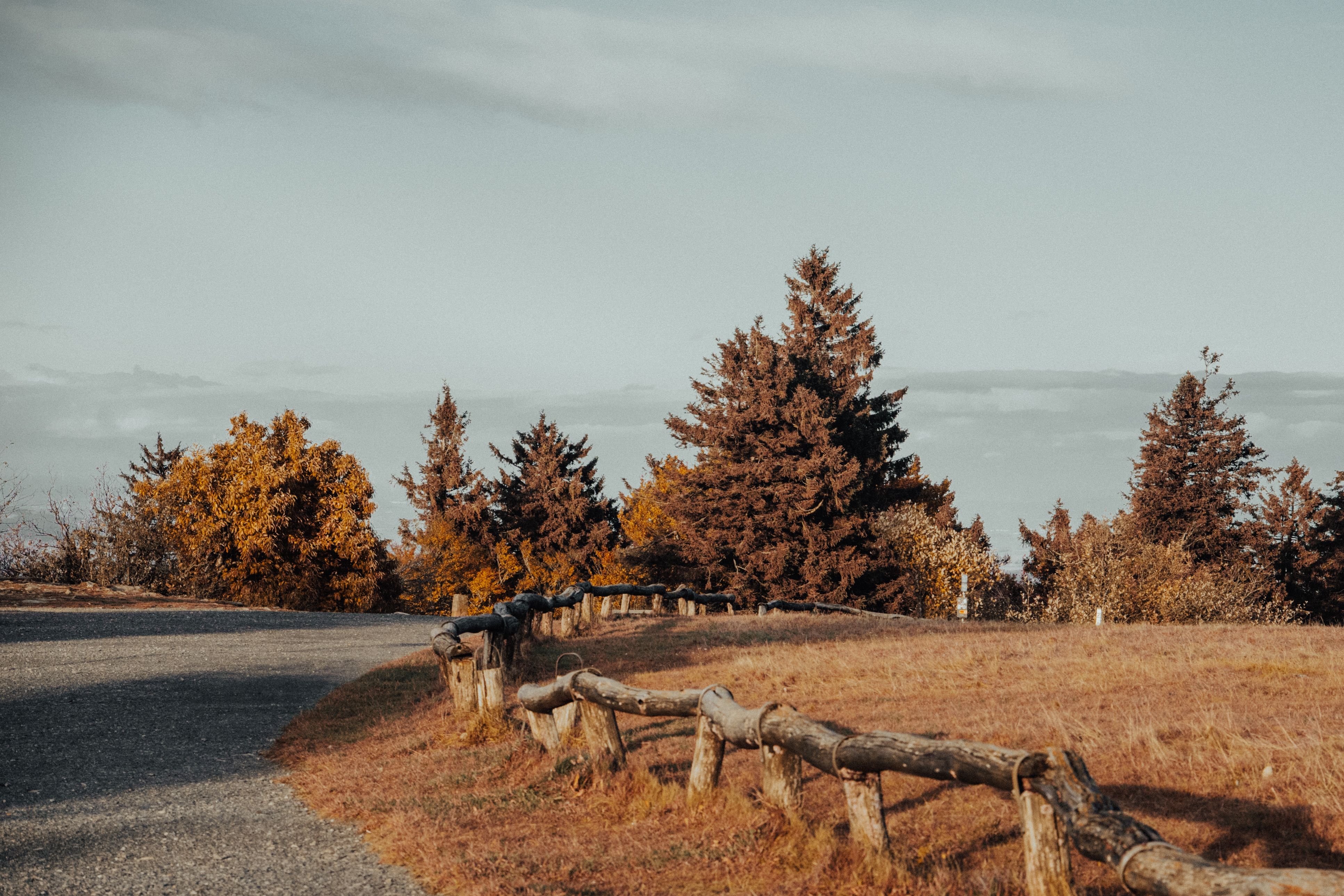 A road with a fence and trees in the background · Free Stock Photo