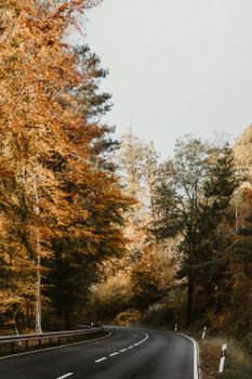 Scenic winding road through an autumn forest with colorful foliage and a clear sky.