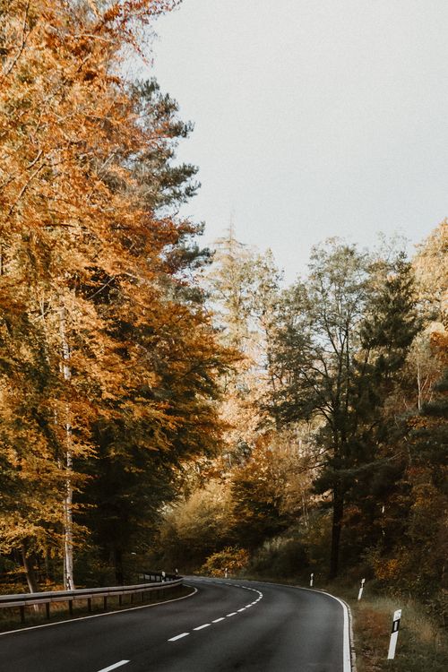 Free Scenic winding road through an autumn forest with colorful foliage and a clear sky. Stock Photo