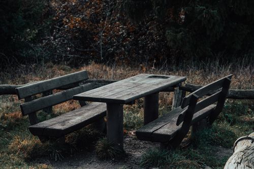 Free A rustic wooden picnic table surrounded by nature, capturing the serene essence of an autumn forest. Stock Photo