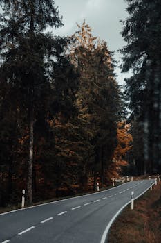 Image by Masood Aslami