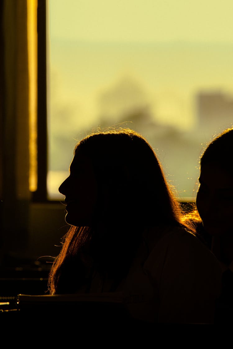 Silhouette Of Woman On Ferry