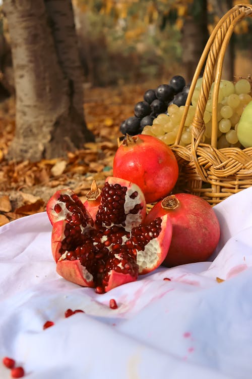 Pomegranates on Picnic Blanket