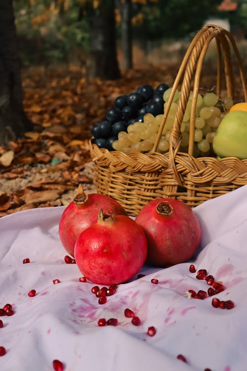 Pomegranates on a Blanket 