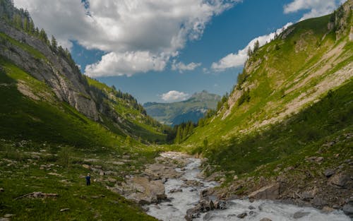 Scenic View of a Green Valley with a Rocky Stream 