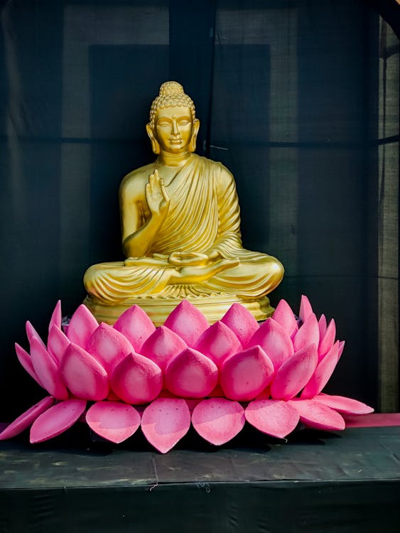 Základová fotografie zdarma na téma buddha, buddhismus, chrám