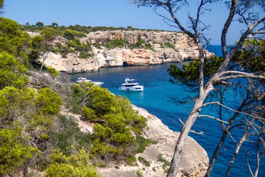 A luxurious yacht sailing near a rocky coastline under a clear blue sky, surrounded by vibrant trees.