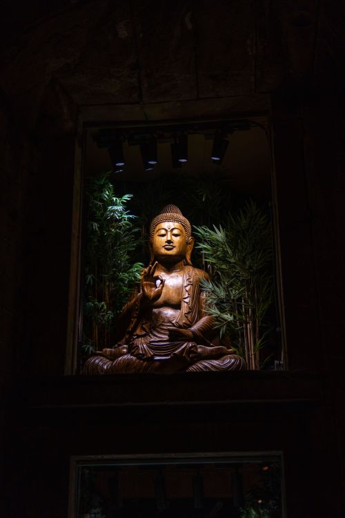 Free A wooden Buddha statue illuminated in a dark setting, surrounded by greenery, symbolizing peace and spirituality. Stock Photo