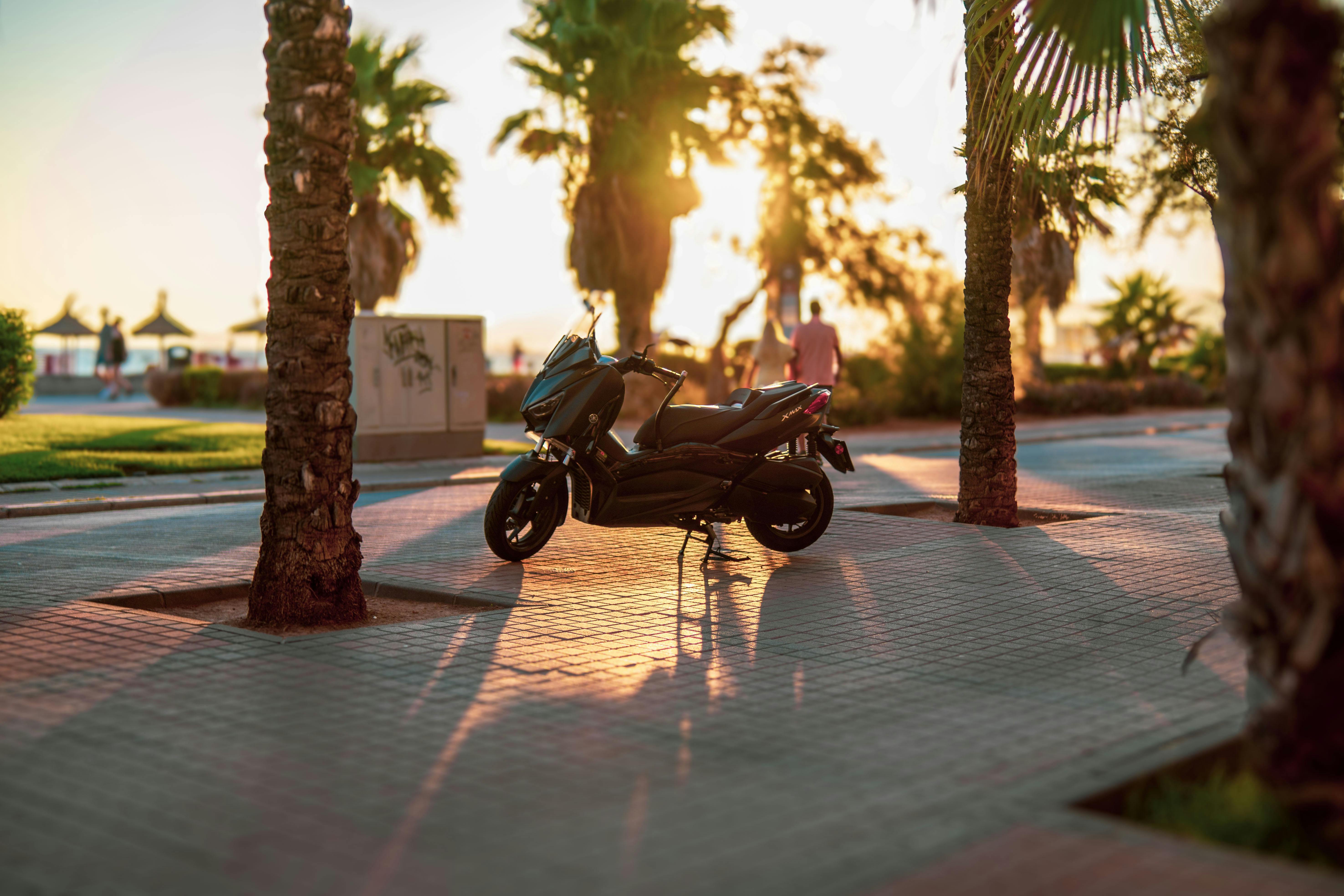 ContiScoot: over 30 Tire Sizes for Urban Mobility and Everyday Commuting — Photo by Linken Van Zyl on Pexels