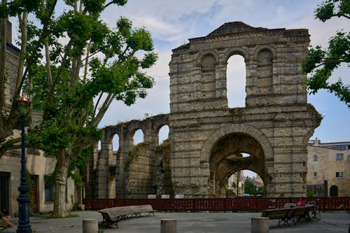 Immagine gratuita di albero, anfiteatro romano, arcata