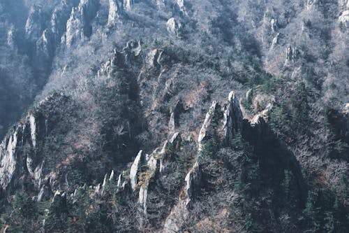 dağlar, kanyon, kayalık içeren Ücretsiz stok fotoğraf