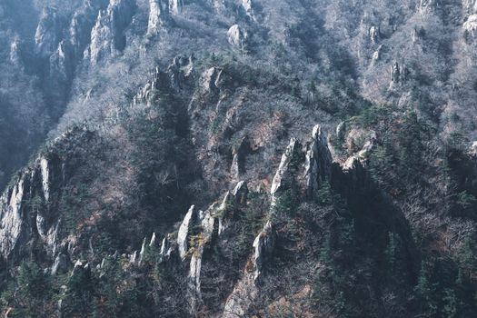 Explore the rugged rocky formations and lush greenery of Yangyang, Gangwon-do, South Korea, a breathtaking natural wonder.
